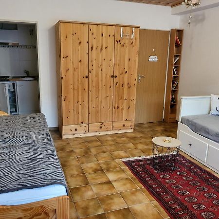 Apartment Betzenberg, Nur Netflix カイザースラウテルン エクステリア 写真