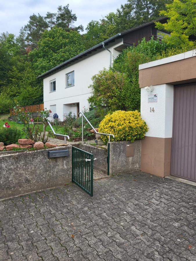 Apartment Betzenberg, Nur Netflix カイザースラウテルン エクステリア 写真